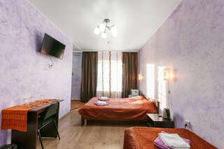 Гостевой дом Старый Псков Псков Стандартный трехместный номер-4