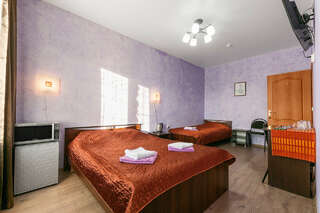 Гостевой дом Старый Псков Псков Стандартный трехместный номер-5